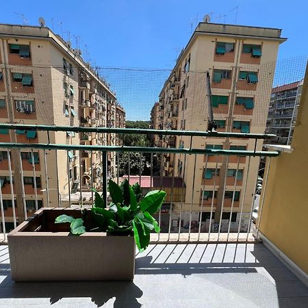 Luciano Queen'S Guest House Roma Dış mekan fotoğraf